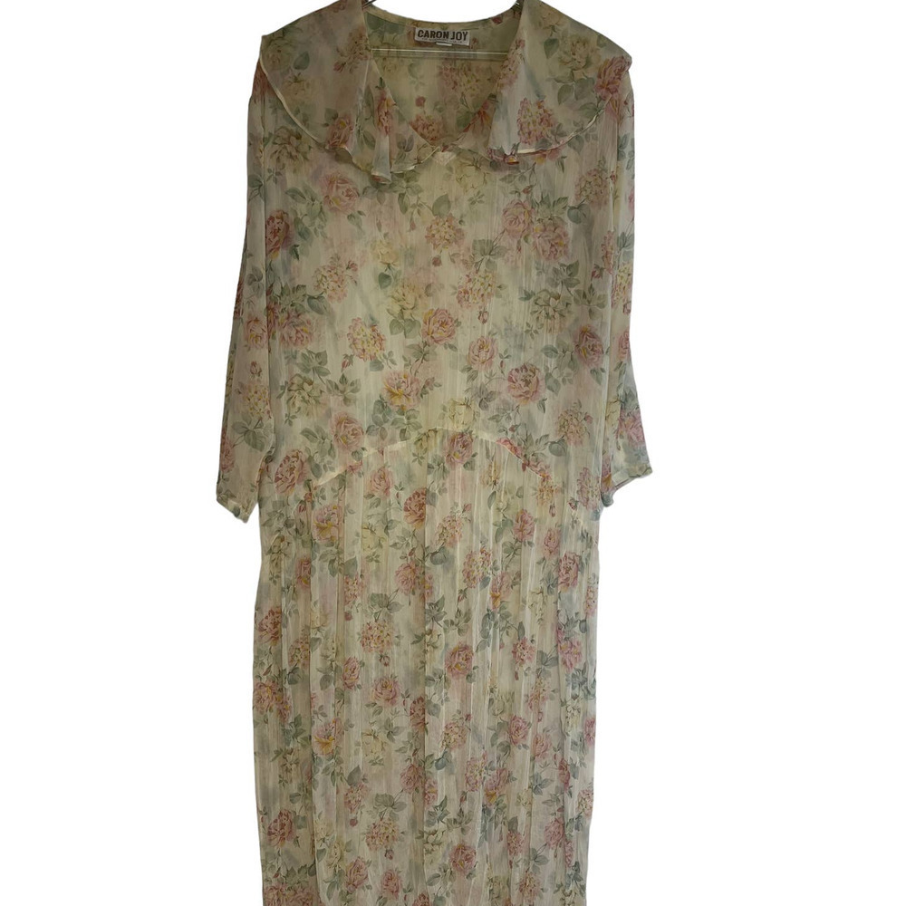 Caron Joy Vintage Cottage Fairy Sheer Dress